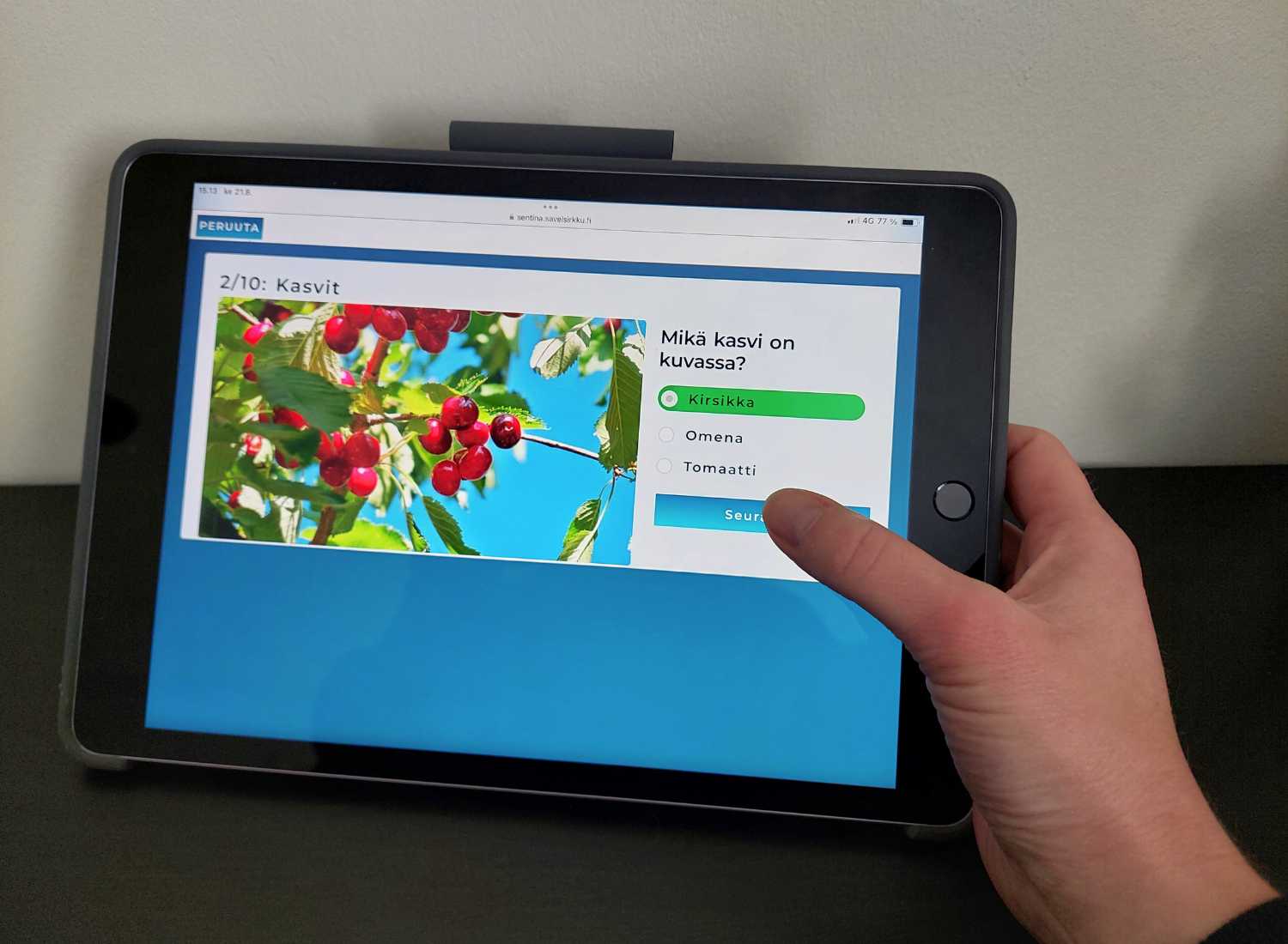 Kuvassa on Sävelsirkun kuvapeli marjoista.